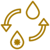 Improves Blood Flow