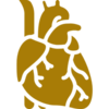 Comprehensive Heart Care